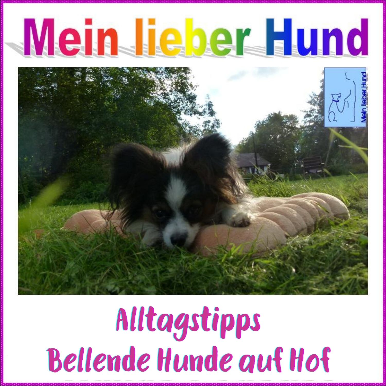 73 - Alltagstipps: Entspannt an bellenden Hunden auf Hof vorbei