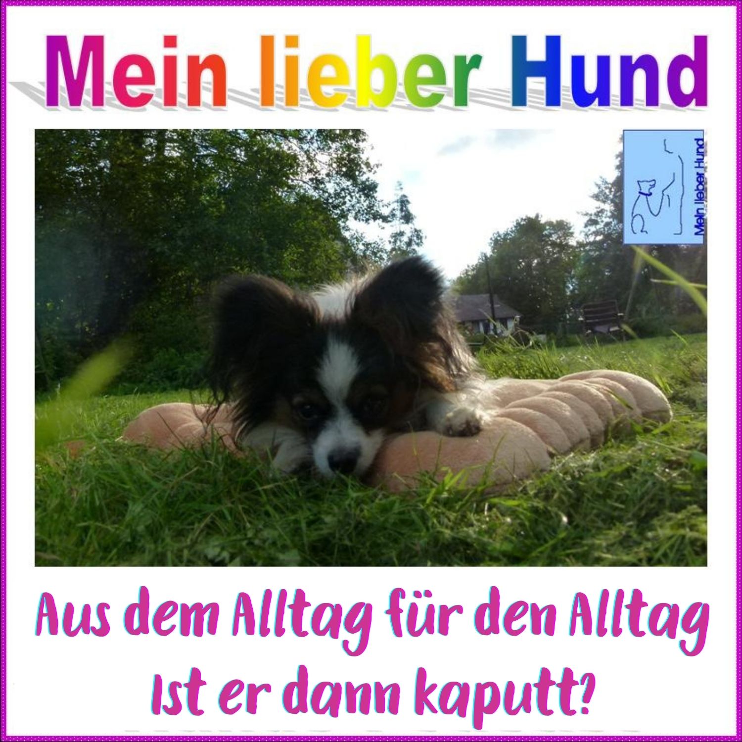 74 - Ist der Hund dann kaputt?