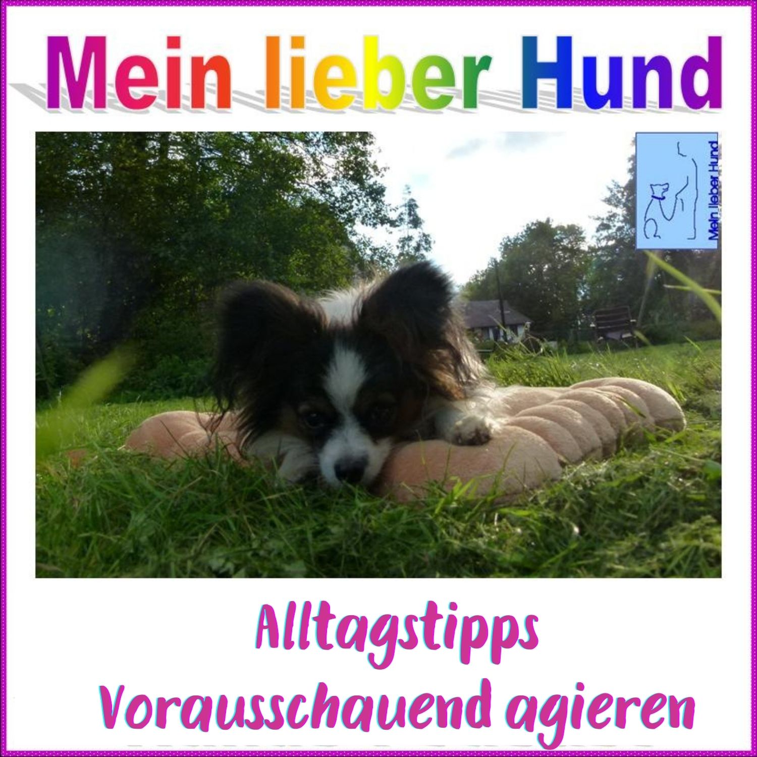 72 - Neues Mikrofon und Agieren statt Reagieren